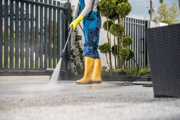 Best Solar Panel Cleaning  in Falling Water, TN